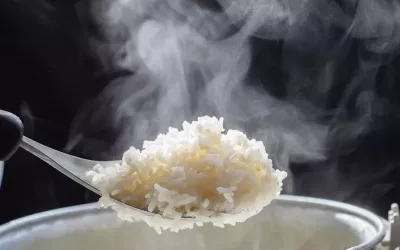 Jak vybrat rýžovar | Recenze nejlepších modelů