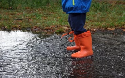 Těšíme se na déšť. Máme proč! | ChytráOpička.cz